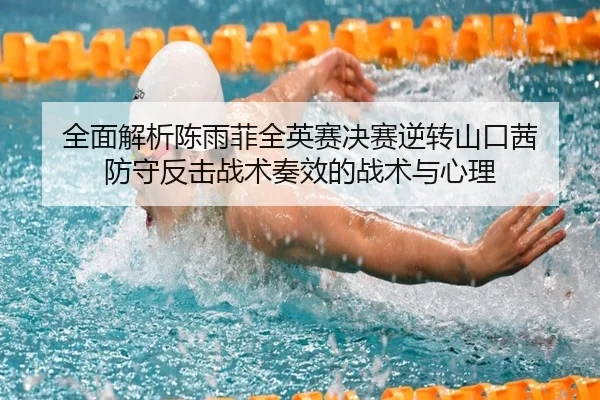 quan-mian-jie-xi-chen-yu-fei-quan-ying-sai-jue-sai-ni-zhuan-shan-kou-qian-fang-shou-fan-ji-zhan-shu-zou-xiao-de-zhan-2-472.jpg